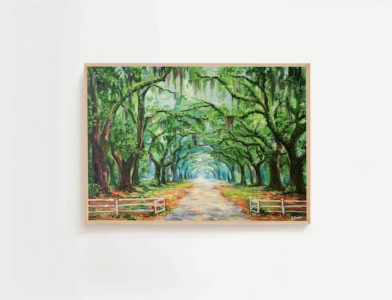 Wormsloe Avenue Oak Tree Canopy Drive Savannah Georgia Poster