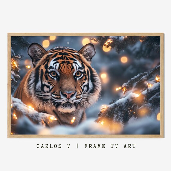 Tiger Face Close-Up among Snowy Branches Golden Lights Winter Poster