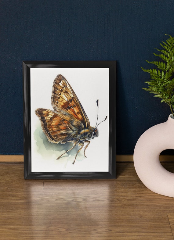 Skipper Butterfly Art Print Butterfly Home Dcor Watercolor Butterfly Painting Insect Wall Art Nature Lover Butterflies Artwork
