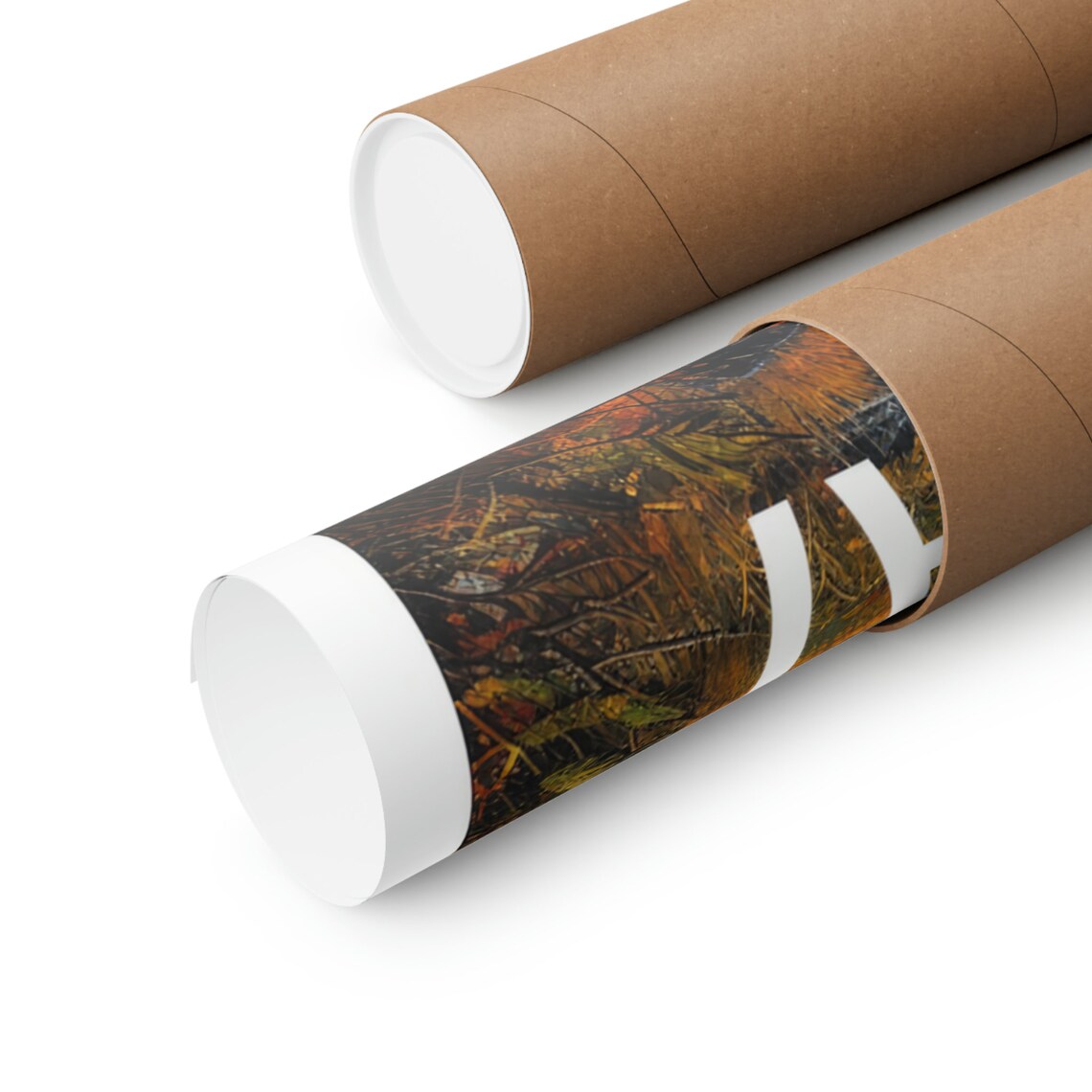 Katmai National Park Snowy Peak Autumn Aspens Lake Reflection Poster - Image 2