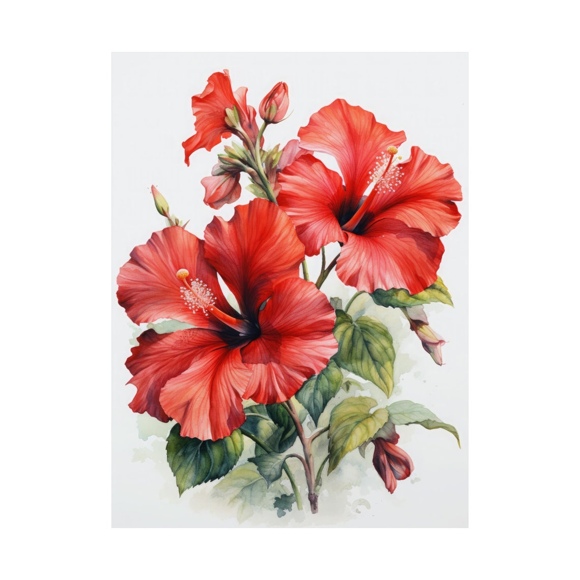 Red Orange Hibiscus Blooms Watercolor Tropical Fine Art Poster - Image 4