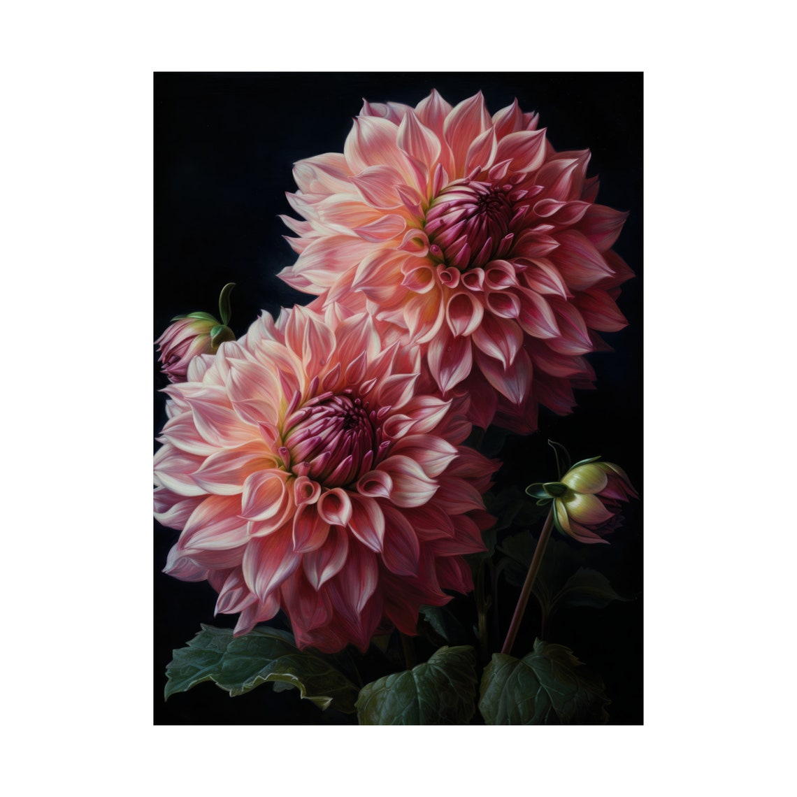 Pink Dahlia Blooms Dark Background Moody Botanical Fine Art Poster - Image 4