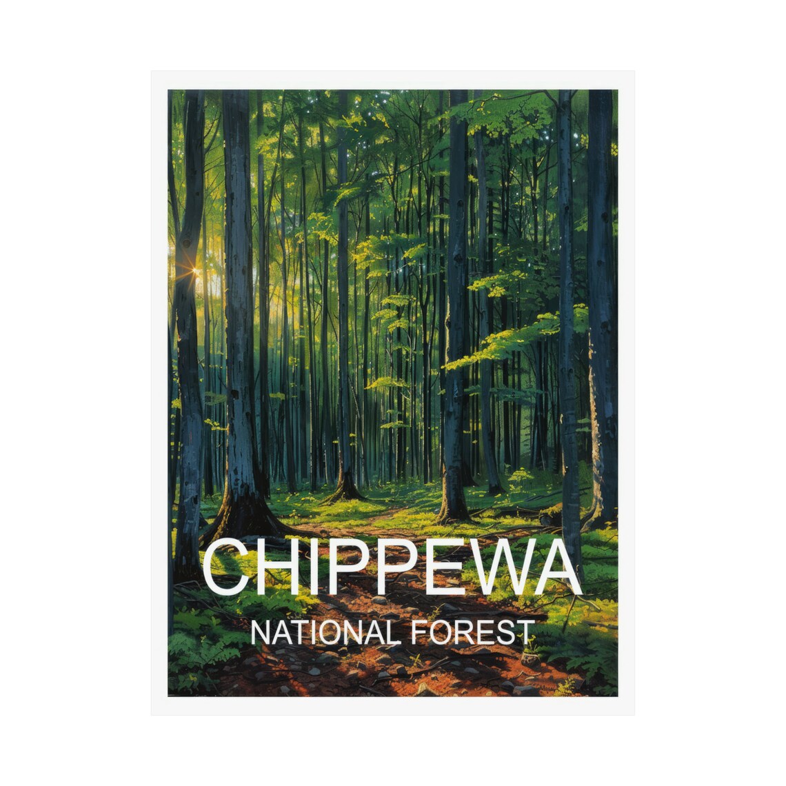 Chippewa National Forest Sunlit Green Woodland Interior Scenic Poster - Image 3