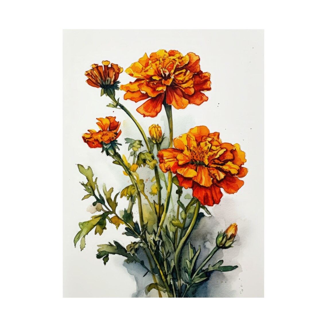 Orange Marigold Flowers Watercolor Botanical Floral Fine Art Poster - Image 5