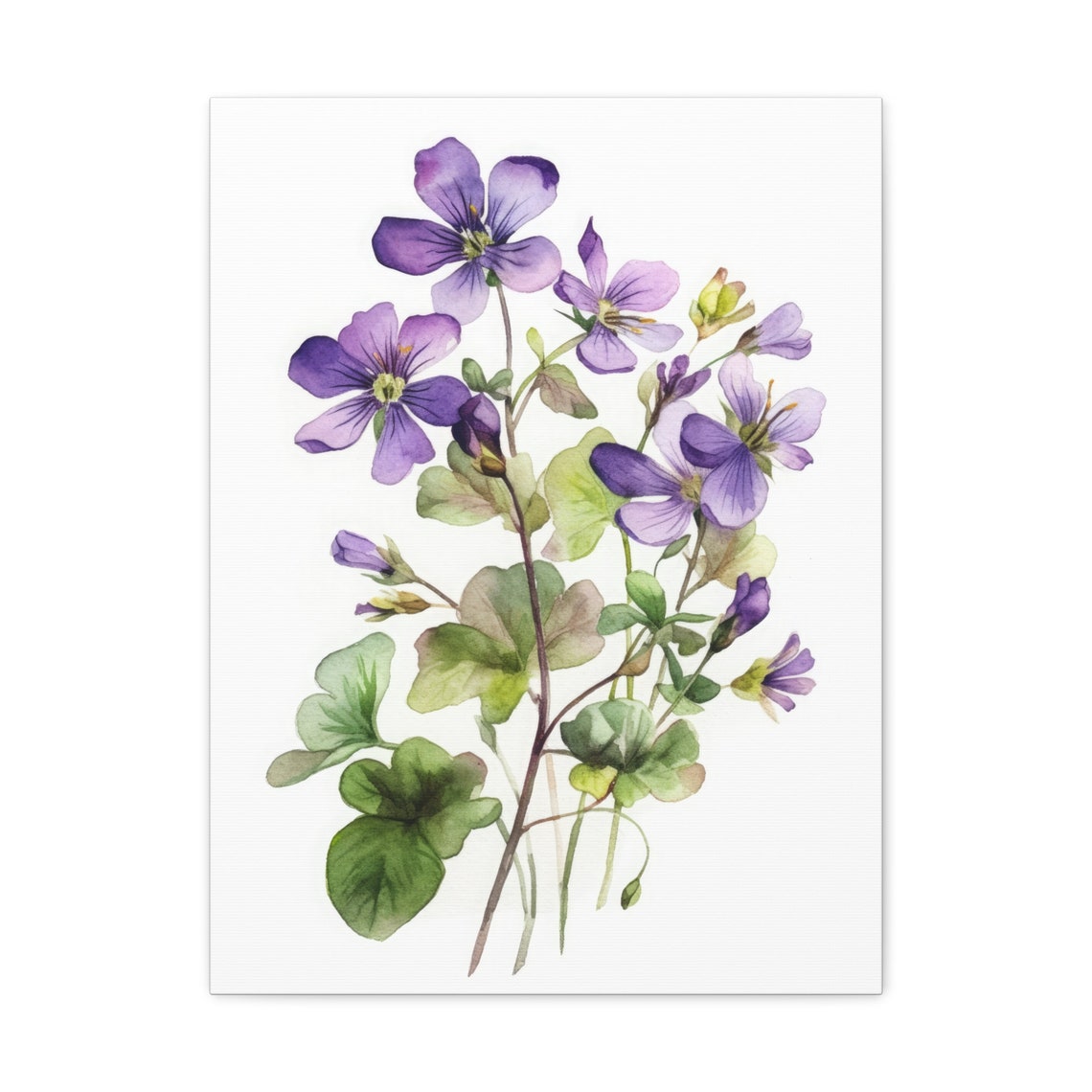 Purple Violet Flowers Watercolor Green Leaves Botanical Art Print
