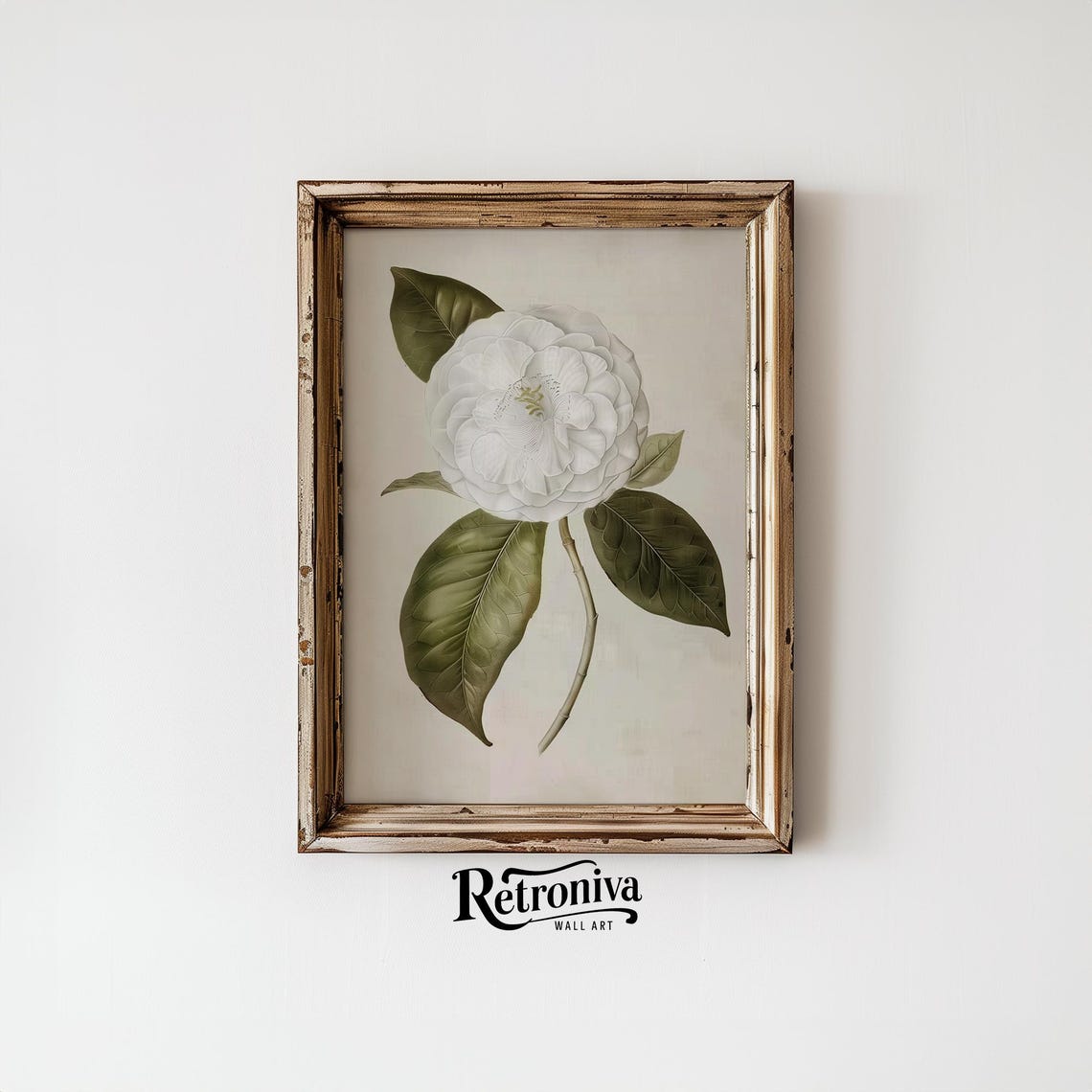 White Camellia Botanical Illustration Antique Flower Art Poster - Image 4