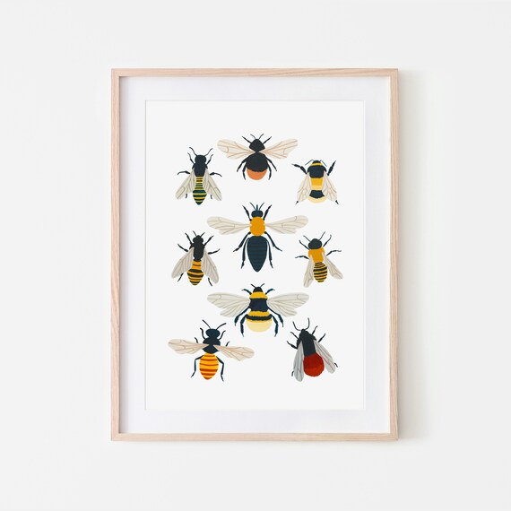 British Bee Species Art Print, Bumblebee Nursery Decor