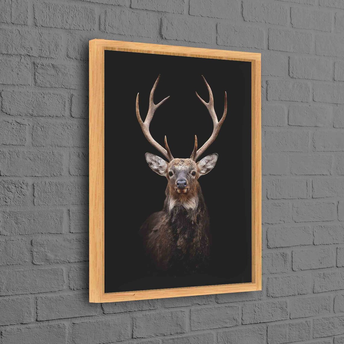 Majestic Stag Portrait Black Background Deer Wildlife Art Poster
