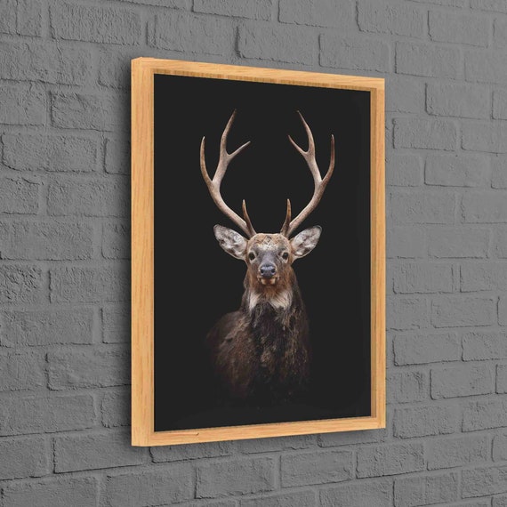 Stag Portrait Canvas Wall Art Majestic Deer Print On Black Rustic Wildlife Decor Animal Poster For Lodge Or Living Room