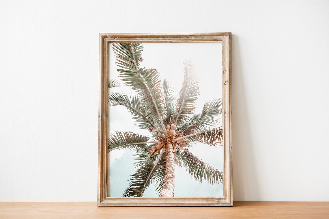 Coconut Palm Tree Top View Fronds Pastel Botanical Photo Art Poster - Image 3