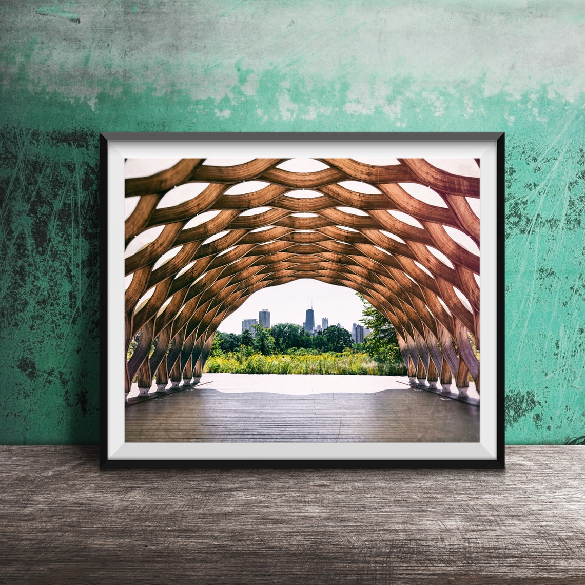 Lincoln Park Honeycomb Pavilion Chicago Skyline Photo Poster