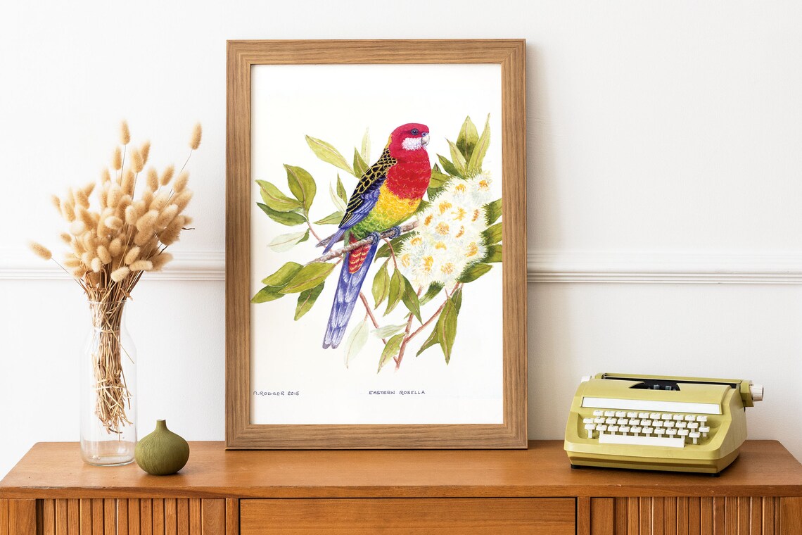 Eastern Rosella Parrot Watercolor Australian Bird Wildlife Art Poster
