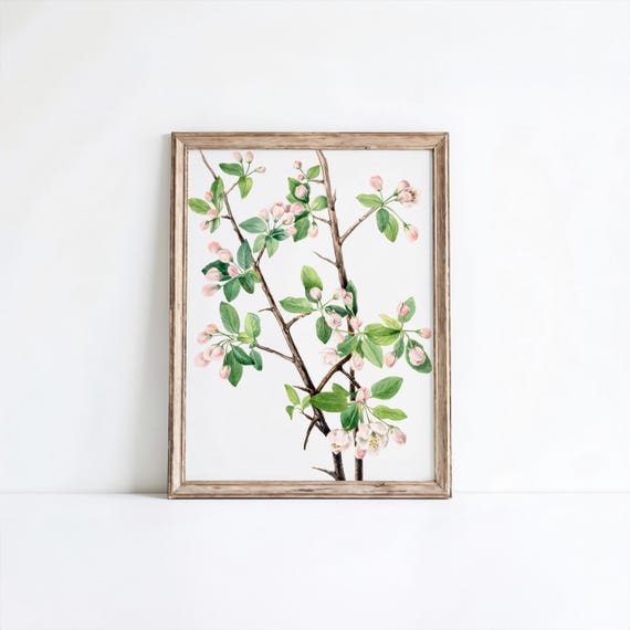 Wild Sweet Crab Flower Print Vintage Botanical Art