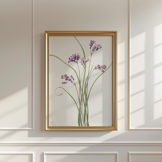 Mary Vaux Walcott Wild Hyacinth Purple Blooms Botanical Watercolor Print