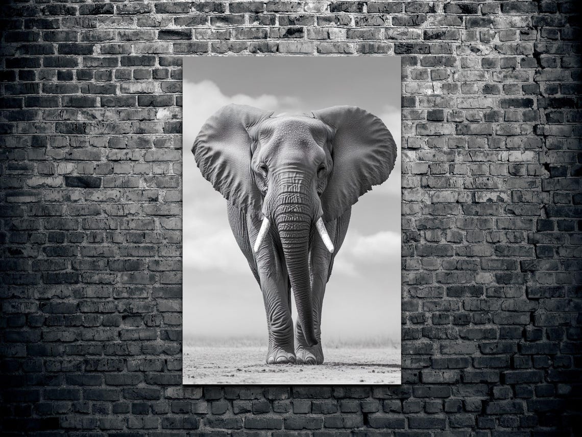 African Elephant Walking Toward Camera Black and White Wildlife Poster - Image 2
