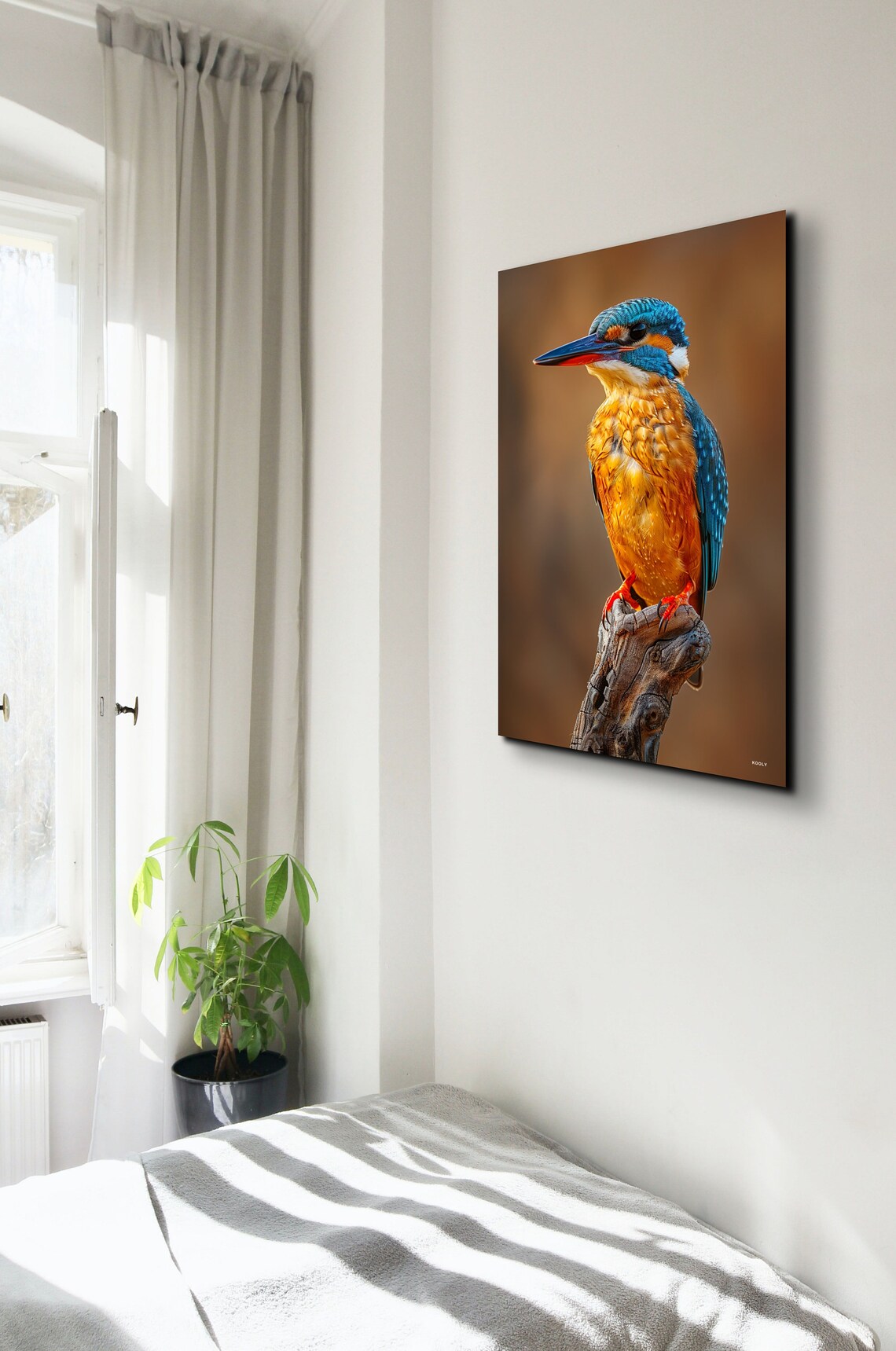 Namibia Malachite Kingfisher Art Print, Bird Nature - Image 7