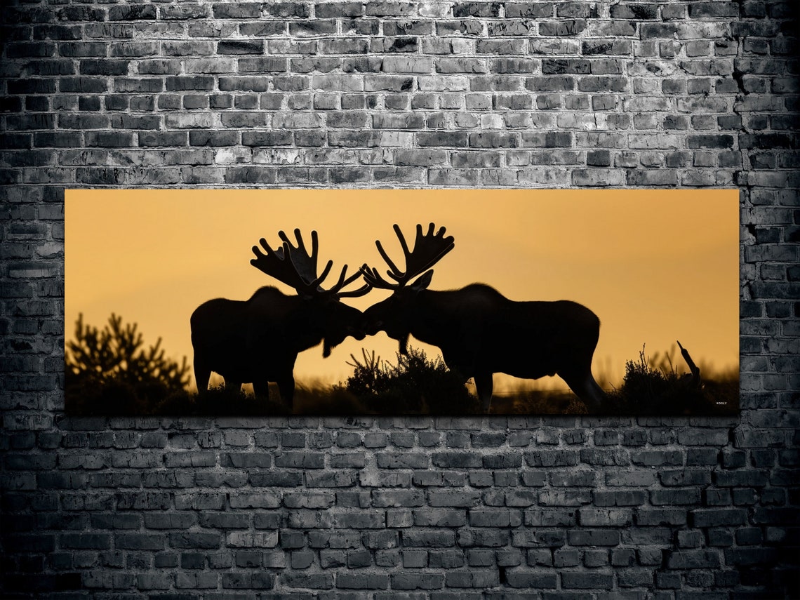 Two Moose Silhouettes at Golden Sunset Wilderness Panorama Wall Art - Image 2