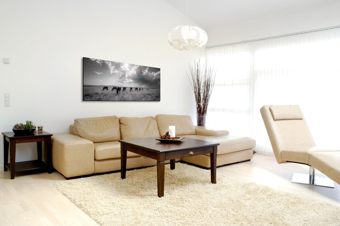 Panoramic Wild Horse Black And White Art Print - Image 5