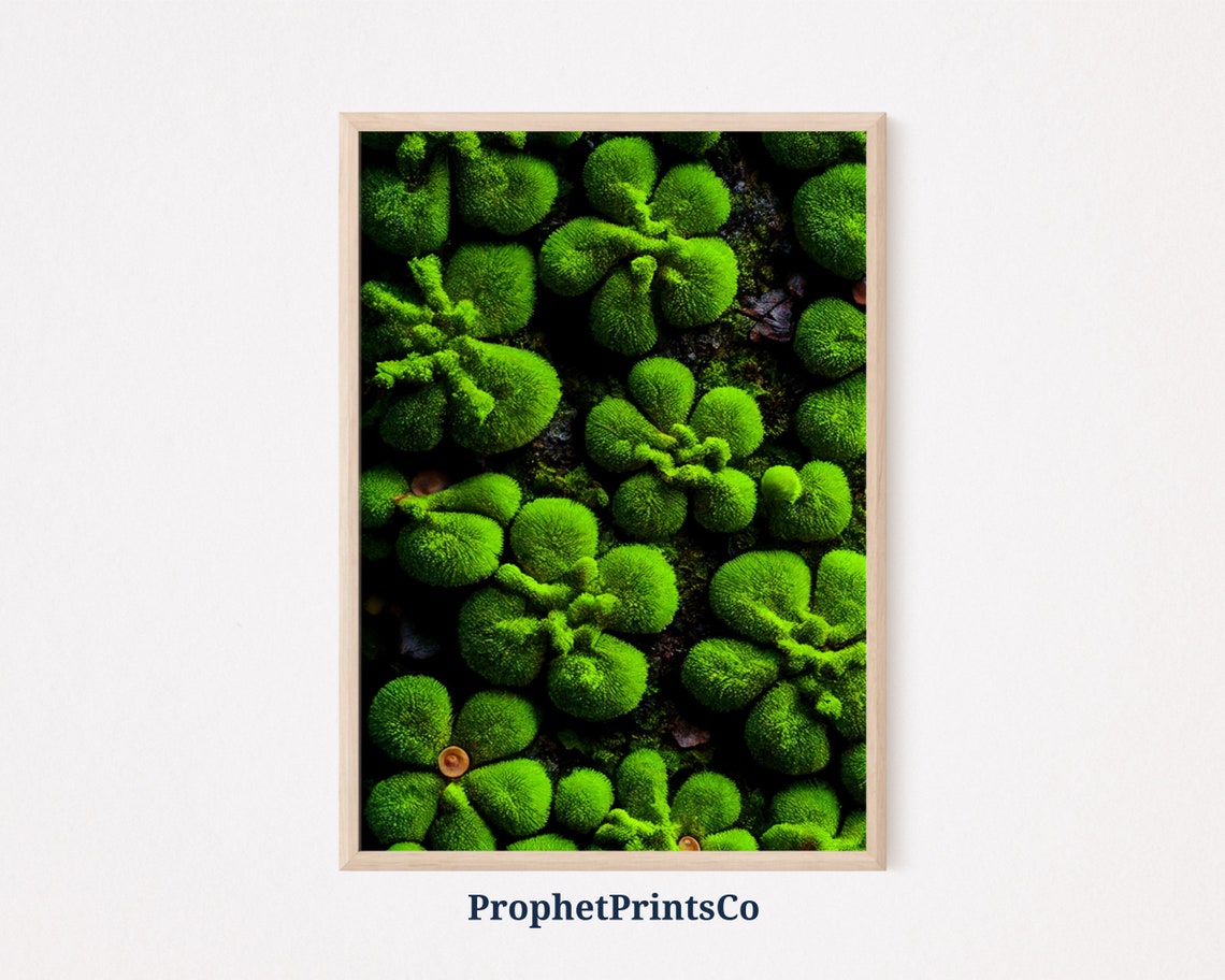 Bright Green Cushion Moss Macro Top Down Botanical Nature Poster