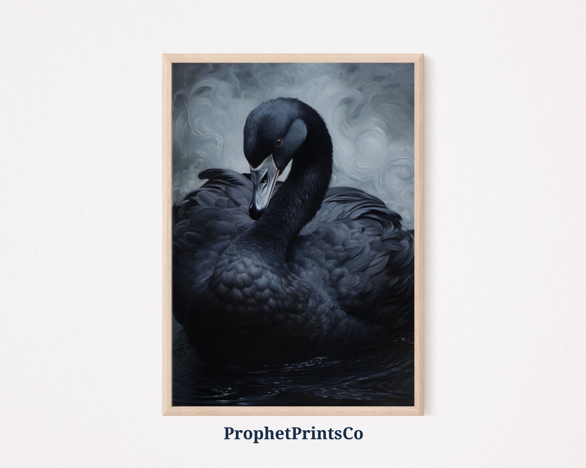 Black Swan Portrait Swirling Gray Background Painting Poster