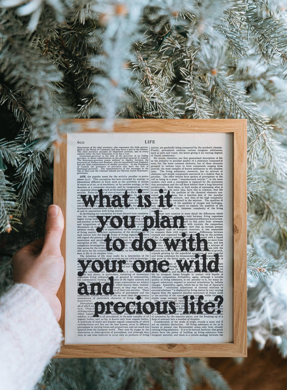 What Is It You Plan To Do Quote, Summer Day Poster - Image 3