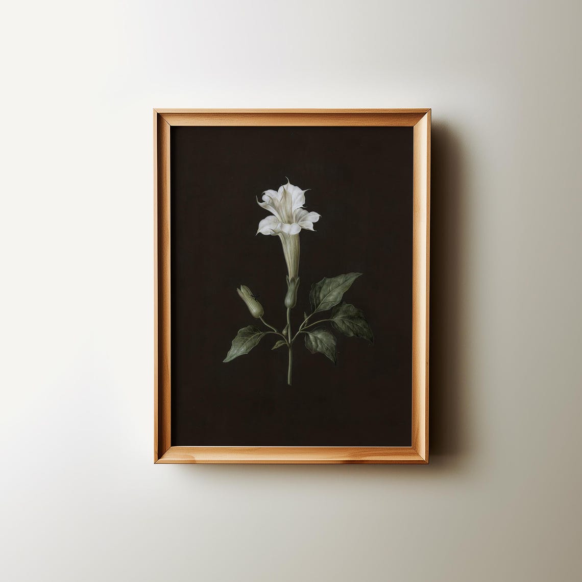 White Flower Vintage Botanical Study on Dark Ground Art Poster - Image 2