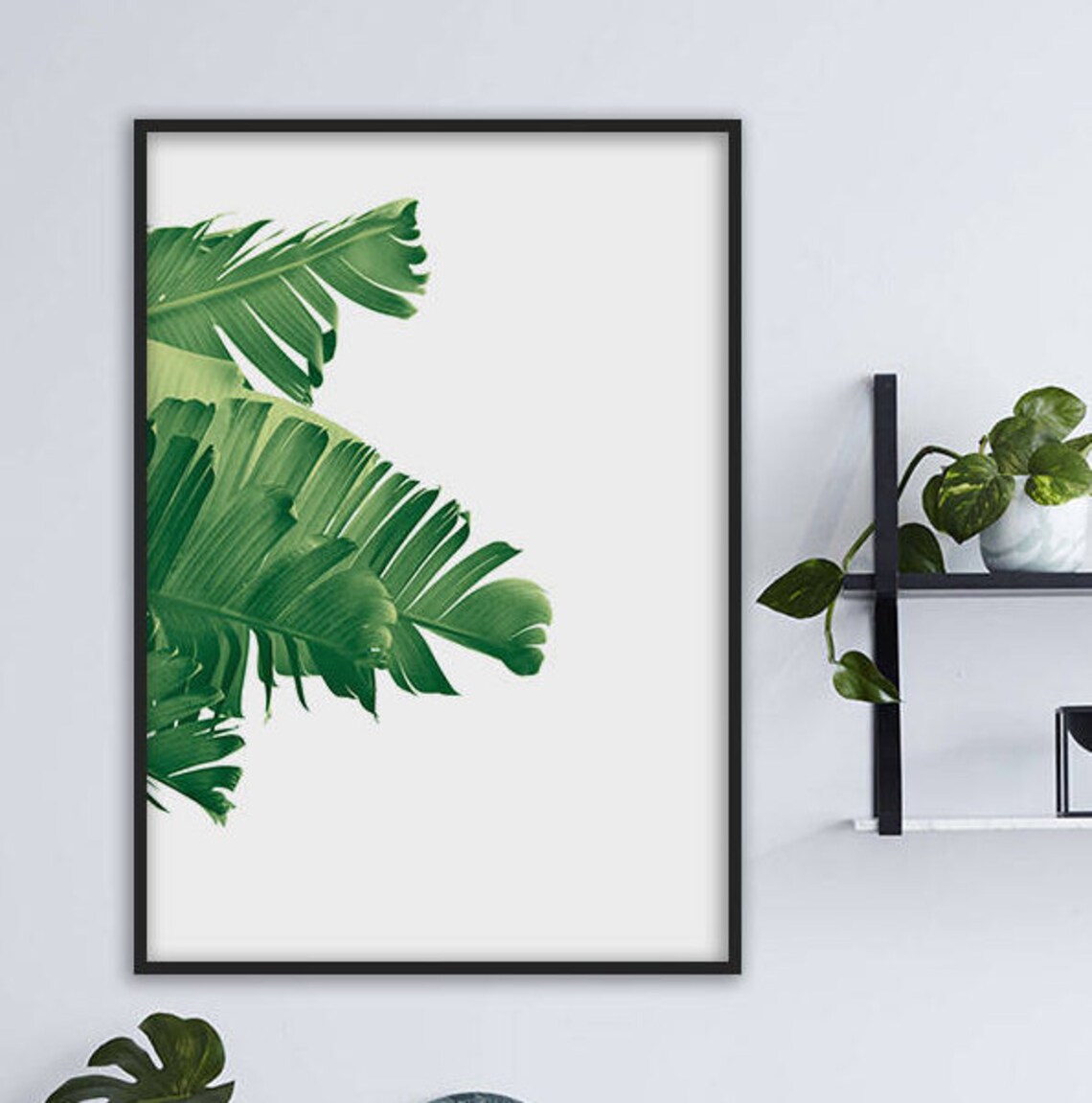Green Banana Leaves Minimalist Tropical Botanical Photo Poster