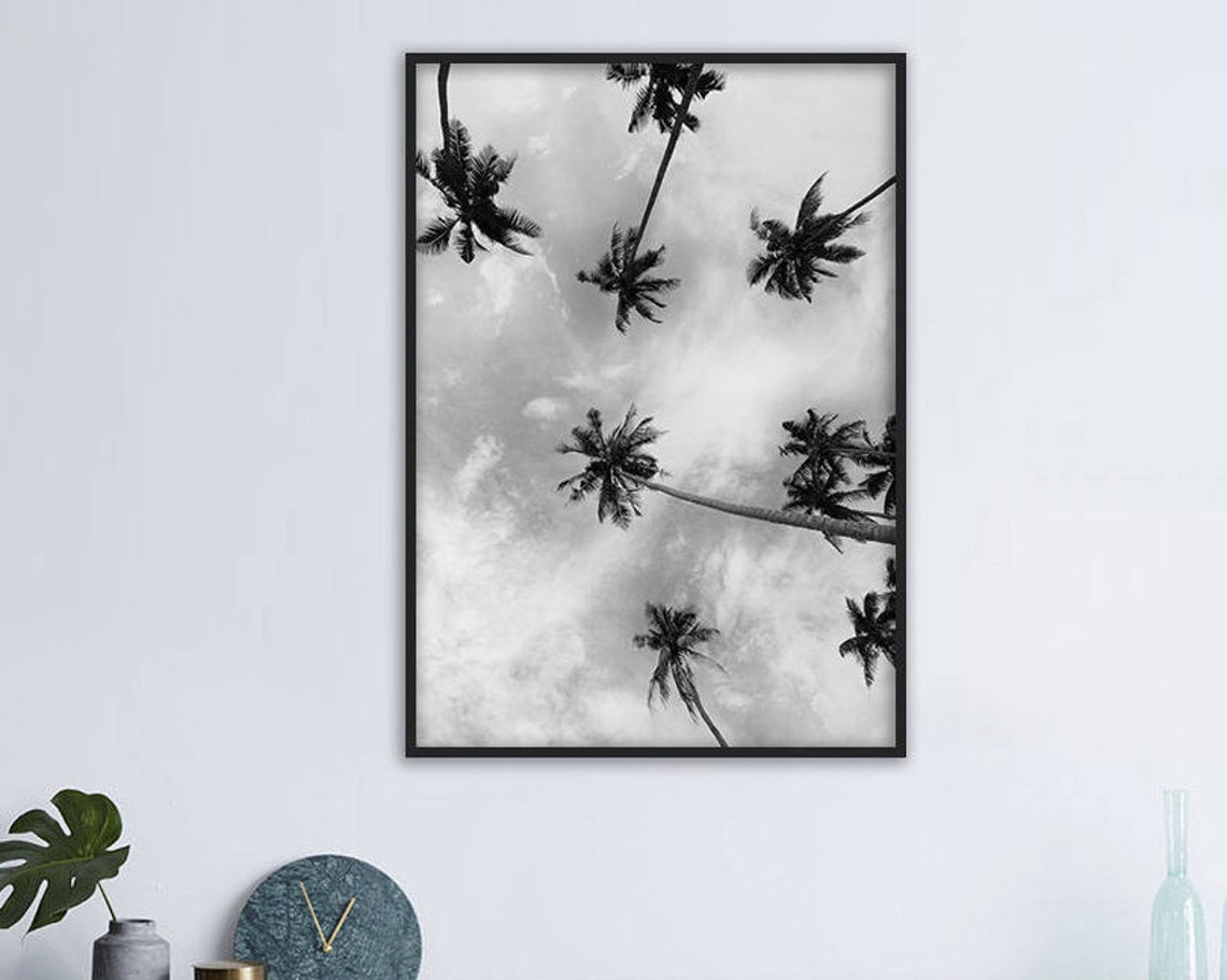 Palm Trees Black And White Tropical Canopy Nature Sky Photo Wall Art - Image 3