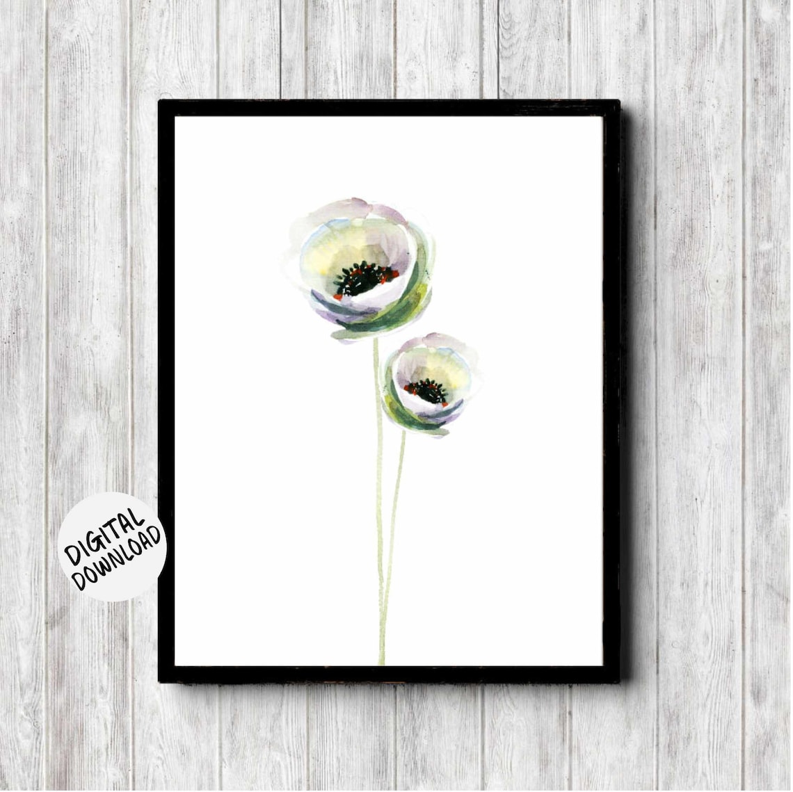 Watercolor White Anemone Flowers Minimalist Botanical Poster