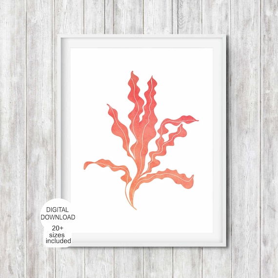 Seaweed Coastal Decor Coral Beach House Decor Beach Themed Wall Art For Bathroom Nautical Hamptons Style Print Ocean Plant
