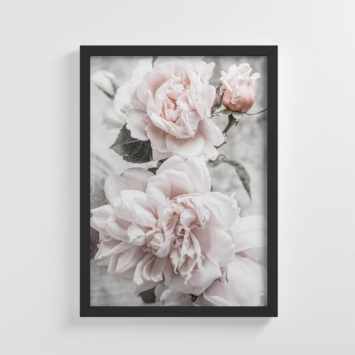 Pink Peony Flower Blossoms, Nursery Decor Art Print