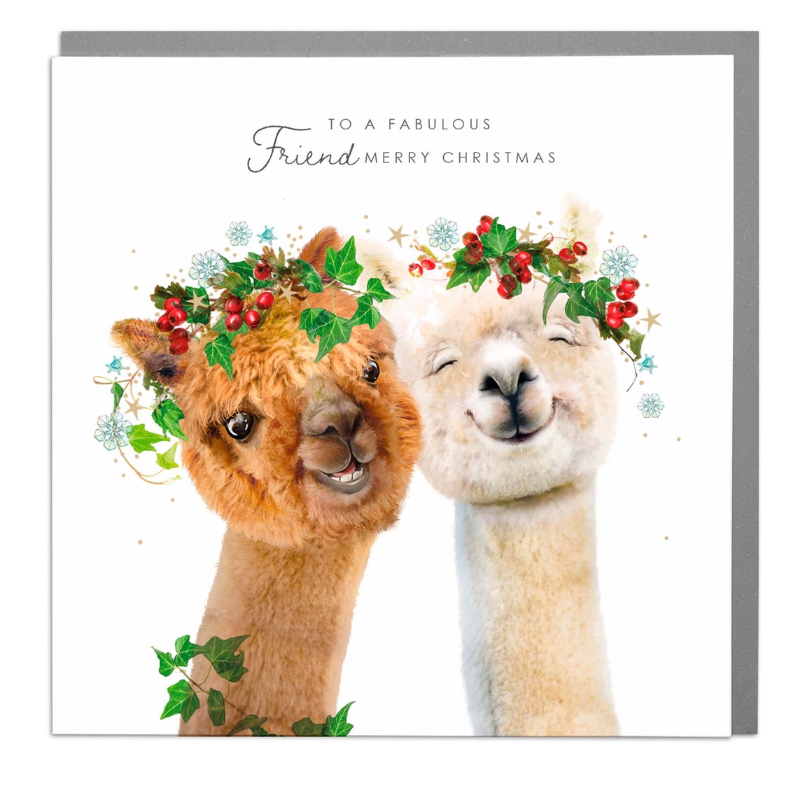 Friends Christmas Alpaca, Holiday Card