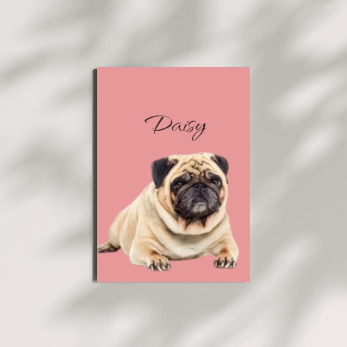 Personalized Fawn Pug Portrait With the Name Daisy on Pink Poster