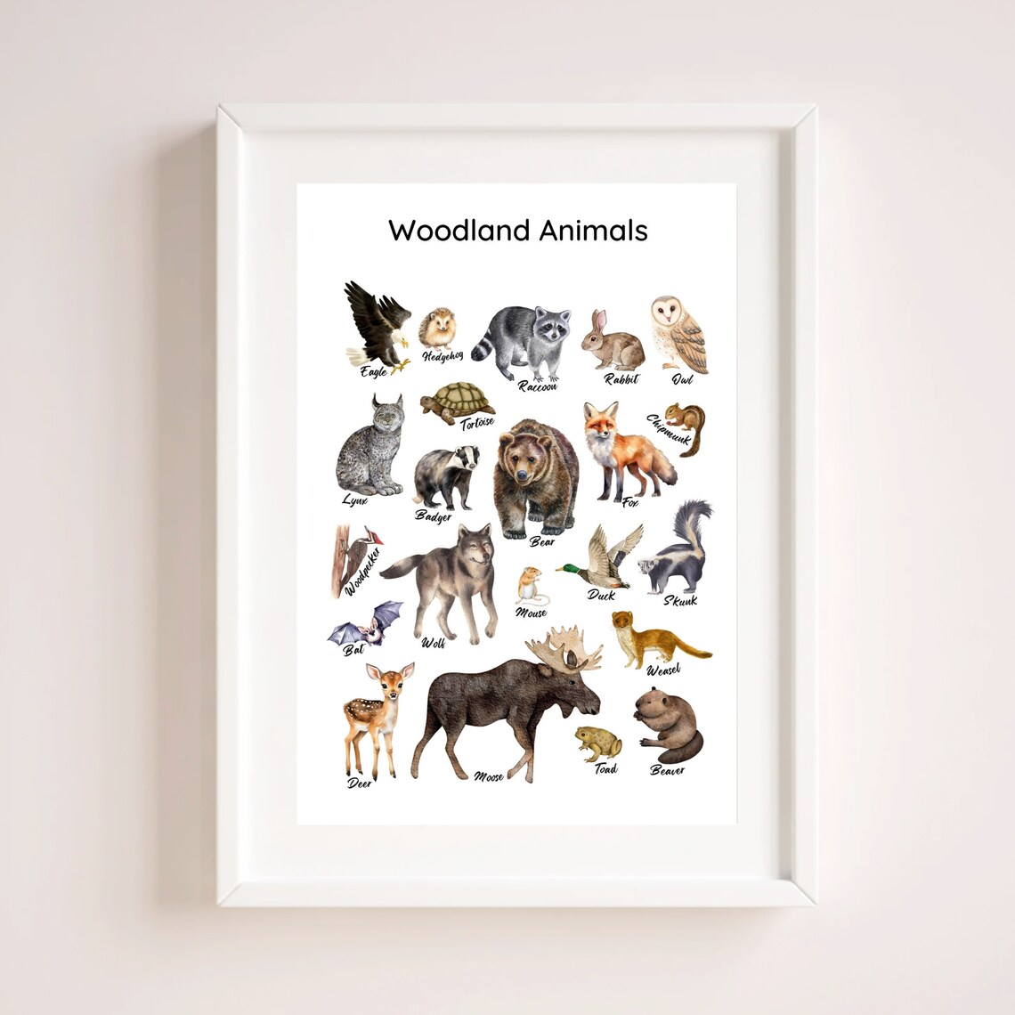 Woodland Animals Watercolor Chart Bear Fox Owl Educational Kids Poster - Image 4