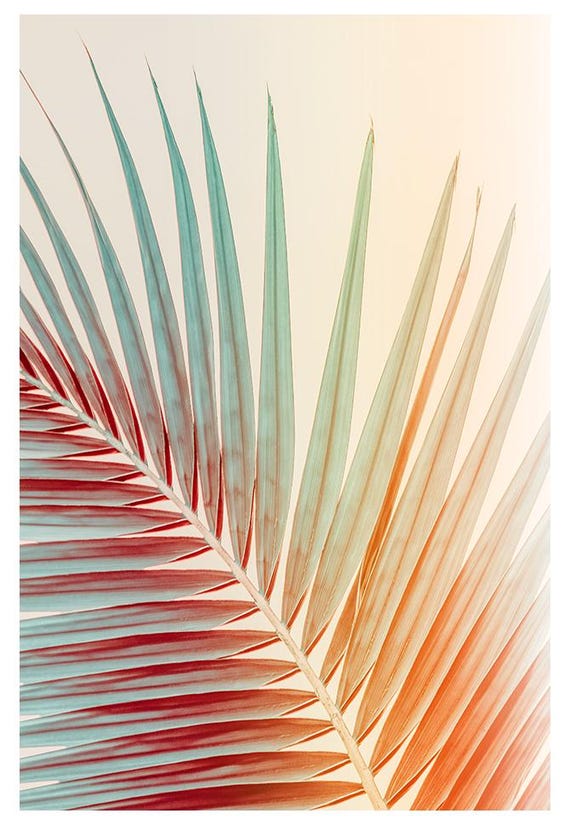 Palm Tree Print, Tropical Spring Summer Art