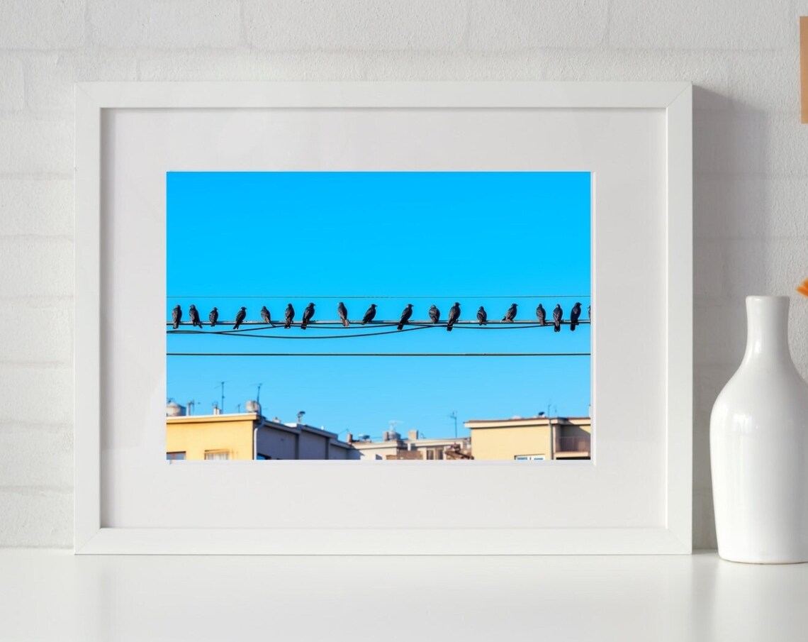 Birds on Telephone Wires Blue Sky Minimalist Nature Photo Poster