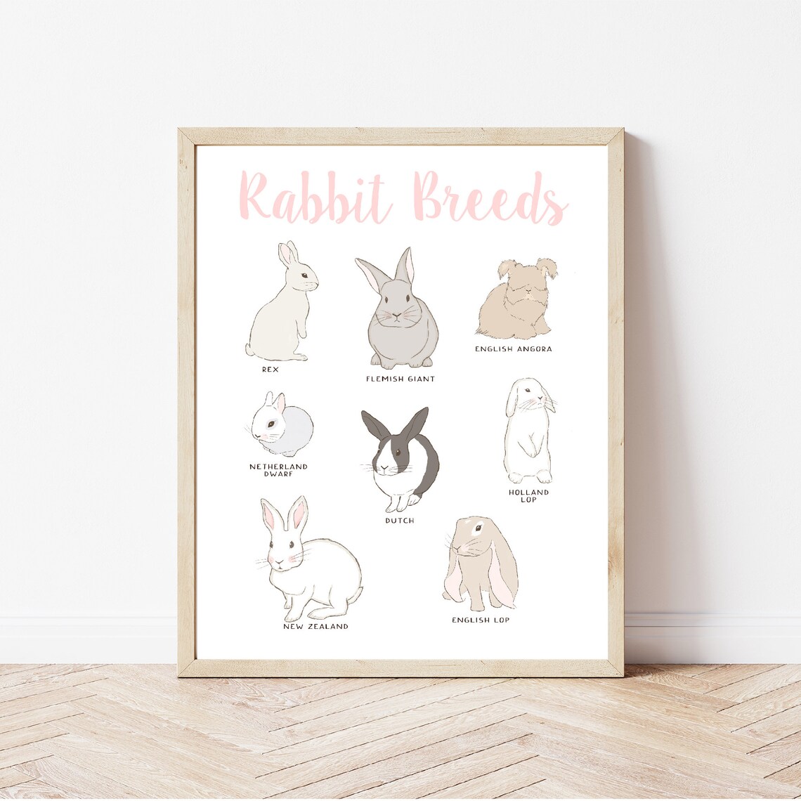 Types Of Rabbits Chart, Easter Rabbit Lovers Gift - Image 3
