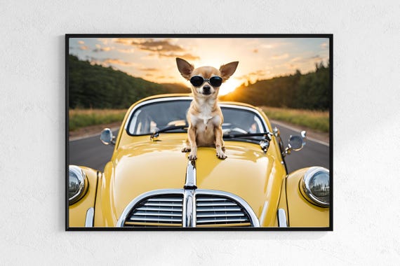 Chihuahua In Sunglasses On Vintage Yellow Car Sunset Poster