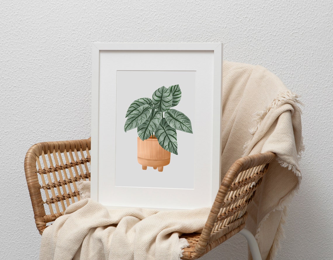 Alocasia Silver Dragon in a Terracotta Ribbed Pot Minimal Poster - Image 2