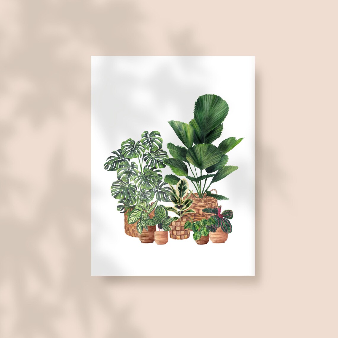 Monstera Palm Houseplant Group Modern Watercolor Botanical Poster