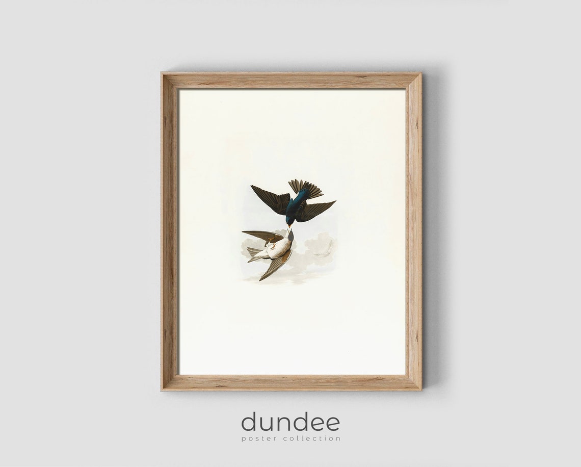 Two Songbirds Flying Antique Bird Engraving Vintage Nature Poster
