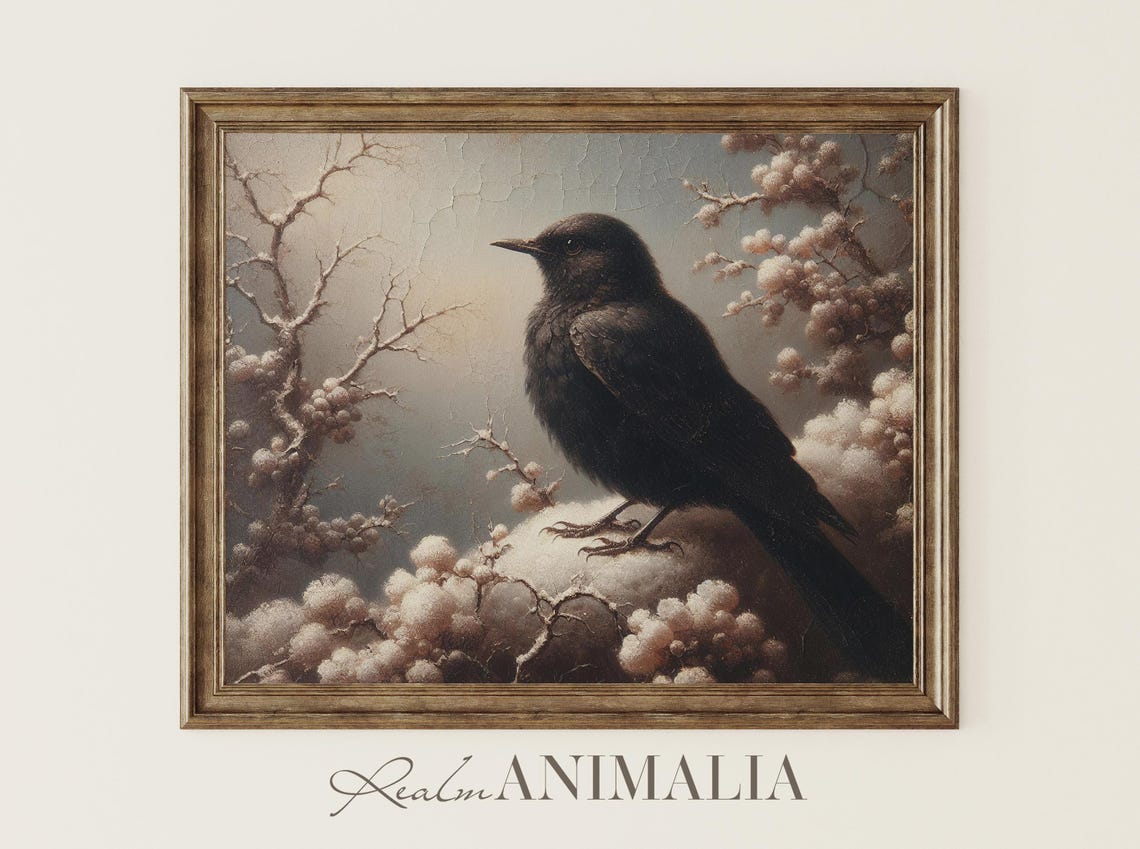 Blackbird Perched On Snowy Branch With Frosted Berries Winter Poster