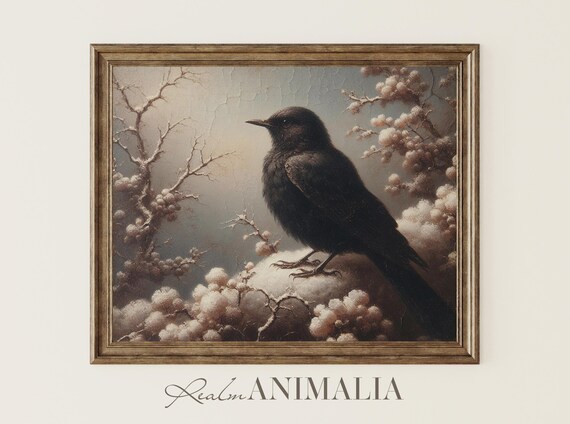Blackbird In Spring Snow Art Print Moody Spring Wall Art Wildlife Bird Art Prints Vintage Nature Painting Spring Decor Bb008