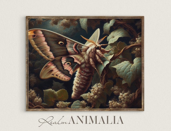 Botanical Moth Print Vintage Cottagecore Insect Painting Floral Moth Wall Art Dark Academia Art Mh003