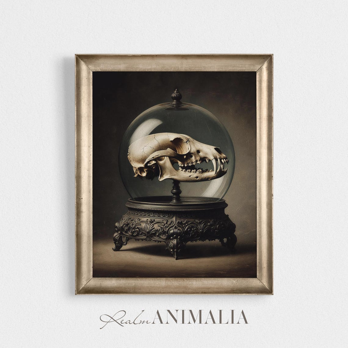 Animal Skull Under Glass Dome Dark Gothic Curiosities Still Life Print - Image 4