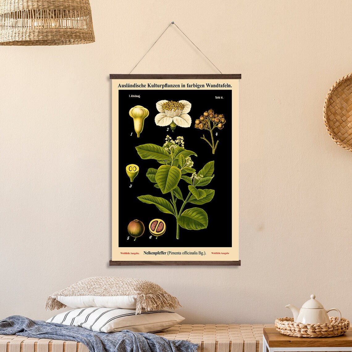 Black Botanical Allspice Plant, Botanical Art Illustration