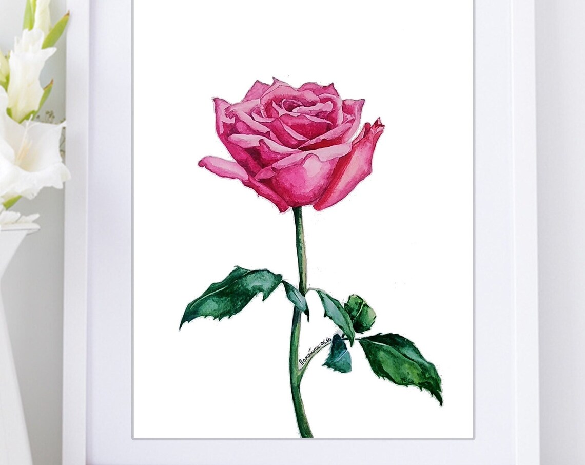 Pink Rose Stem Watercolor Romantic Flower Botanical Art Poster - Image 5