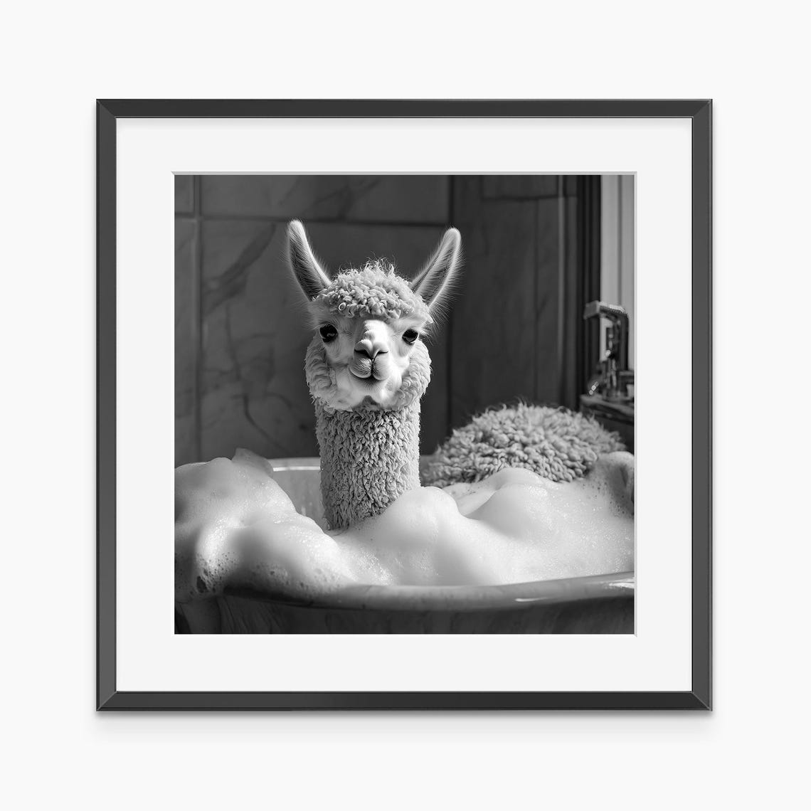 Funny Llama in Bubble Bath Black and White Animal Photo Poster