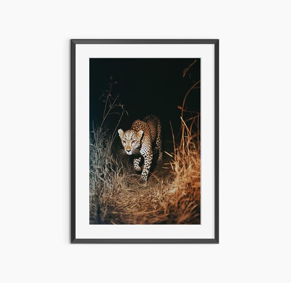 Leopard Print Photography Animal Poster Cheetah Nature Prints Fine Art Museum Quality