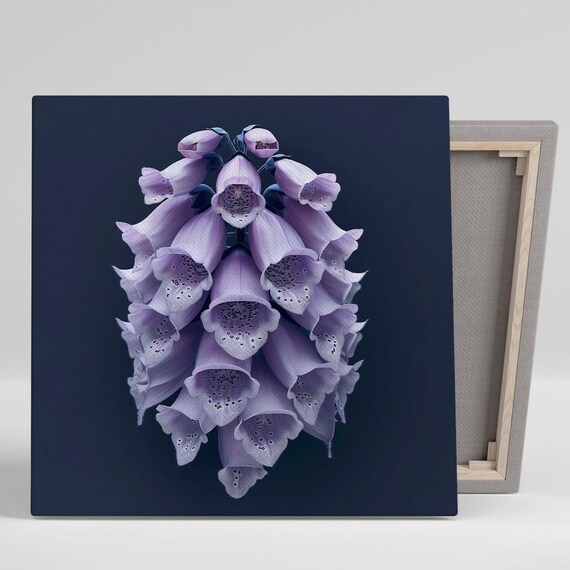 Purple Foxglove Bells On Dark Navy Background Botanical Art Poster